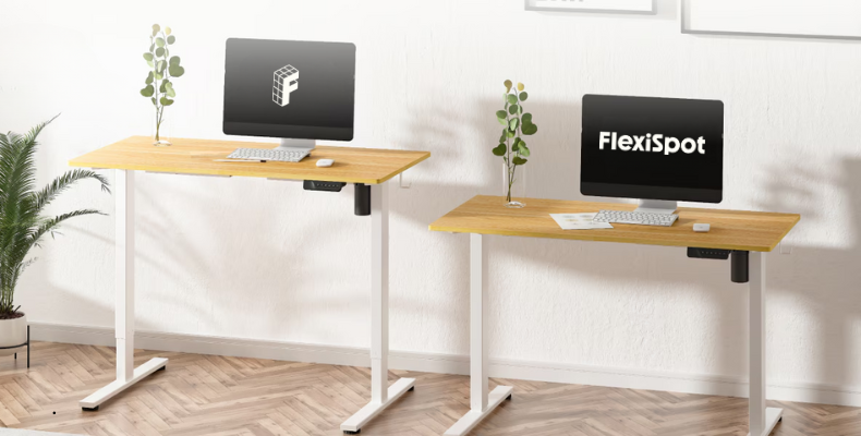 FlexiSpot E2 Lite: Your Stylish, Ergonomic Desk | FlexiSpot